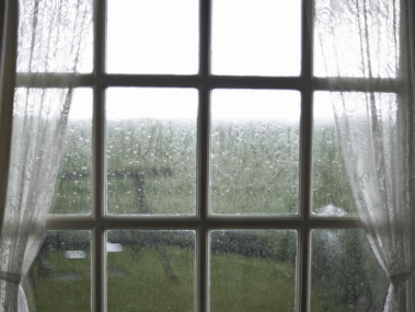 Finding Calm within the Chaos